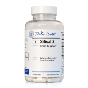 Silical 2 - IBBH - Bone Support - Main - 1000 x 1000